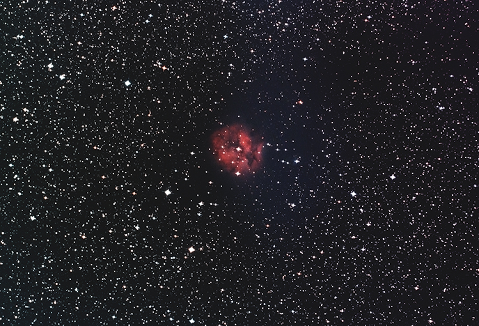IC5146