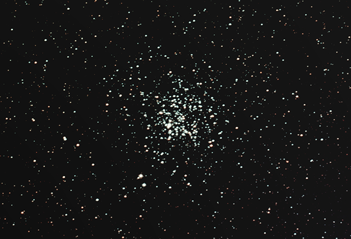 M11