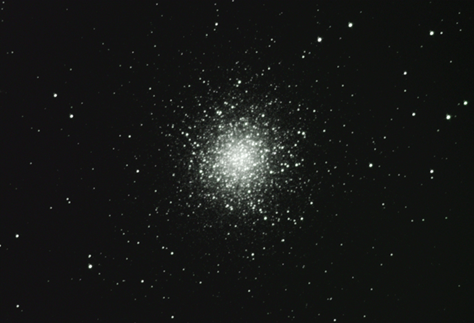 M13
