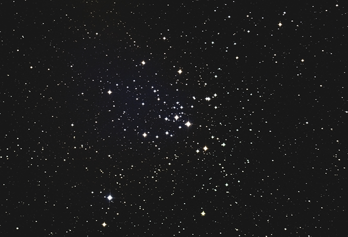 M41
