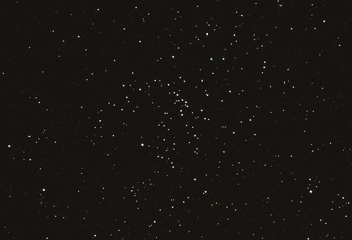 M48