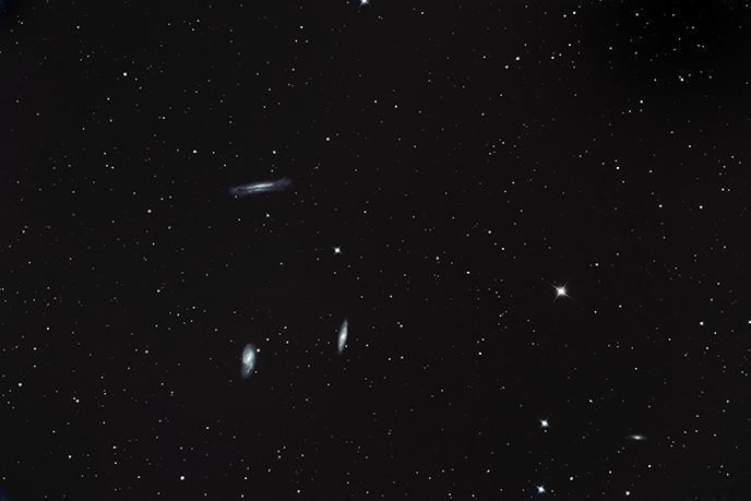 M65,66