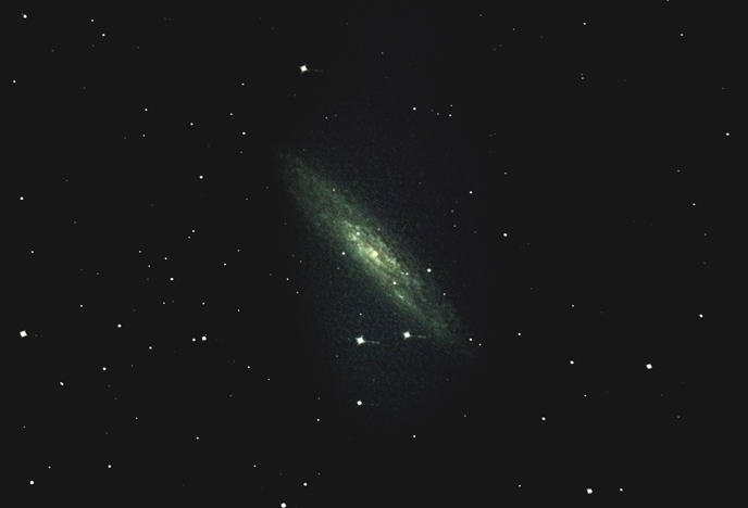 NGC253