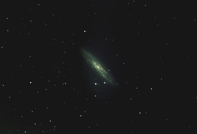 NGC253