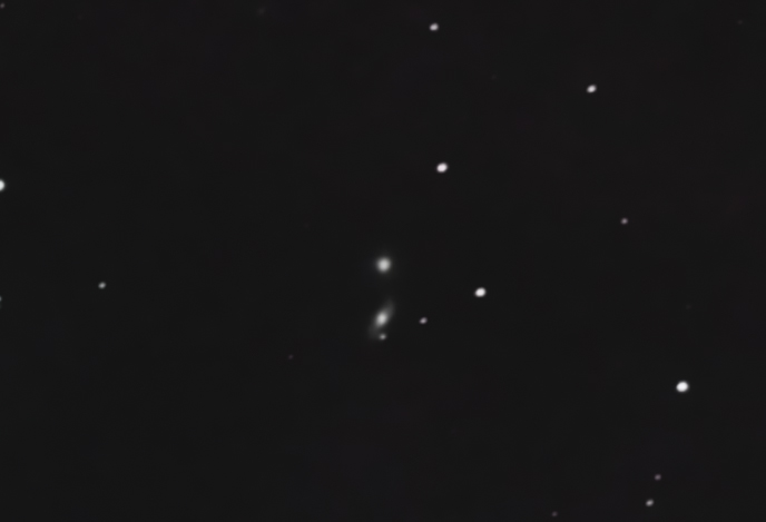 NGC4231