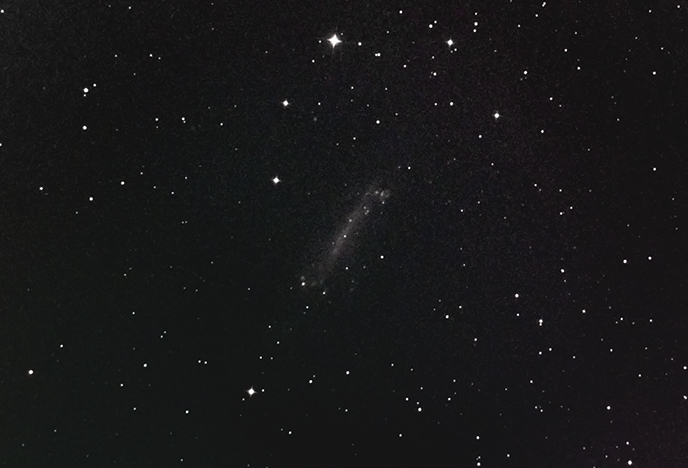 NGC4236
