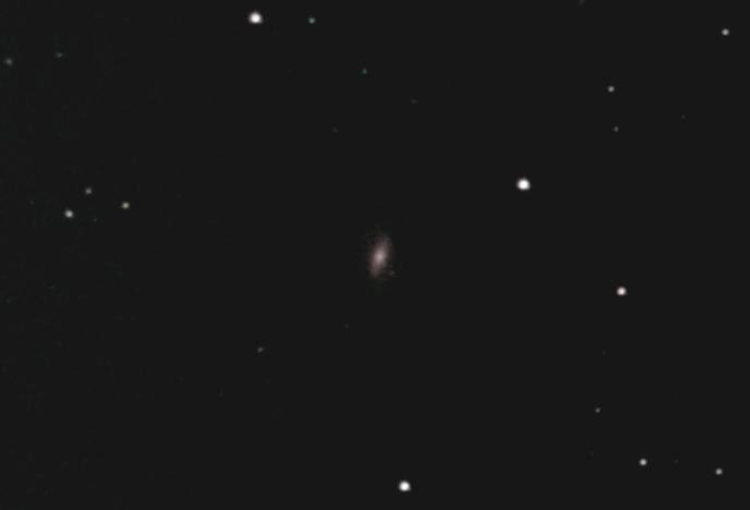 NGC4516